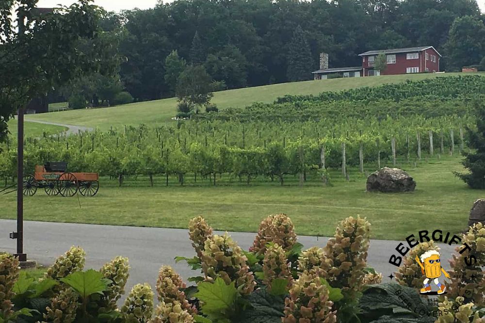 11 Best Wineries in Pennsylvania to Visit3