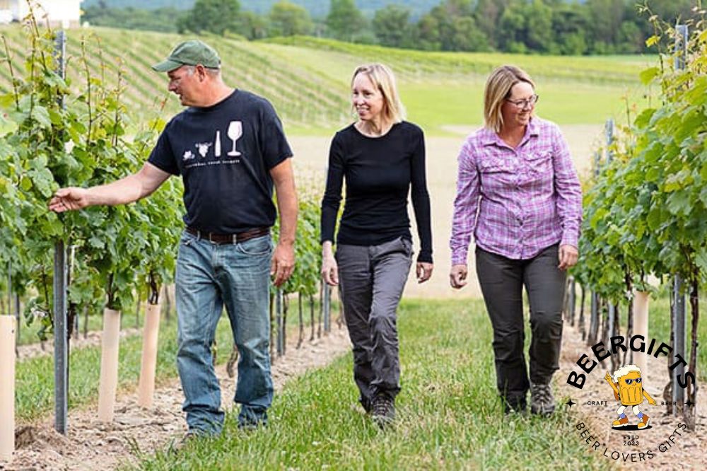 11 Best Wineries in Pennsylvania to Visit4