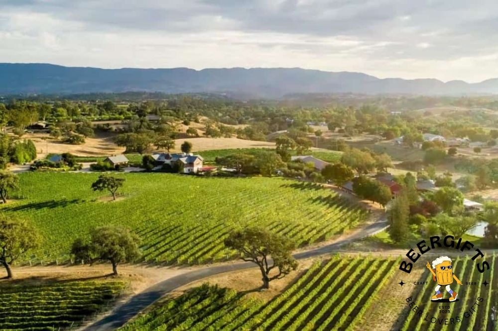 11 Best Wineries in Santa Ynez, CA10