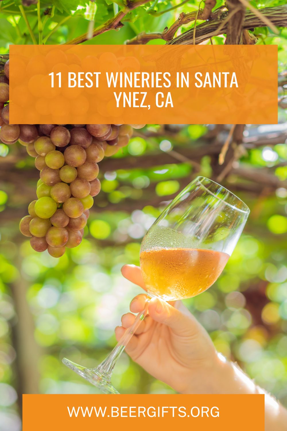 11 Best Wineries in Santa Ynez, CA12