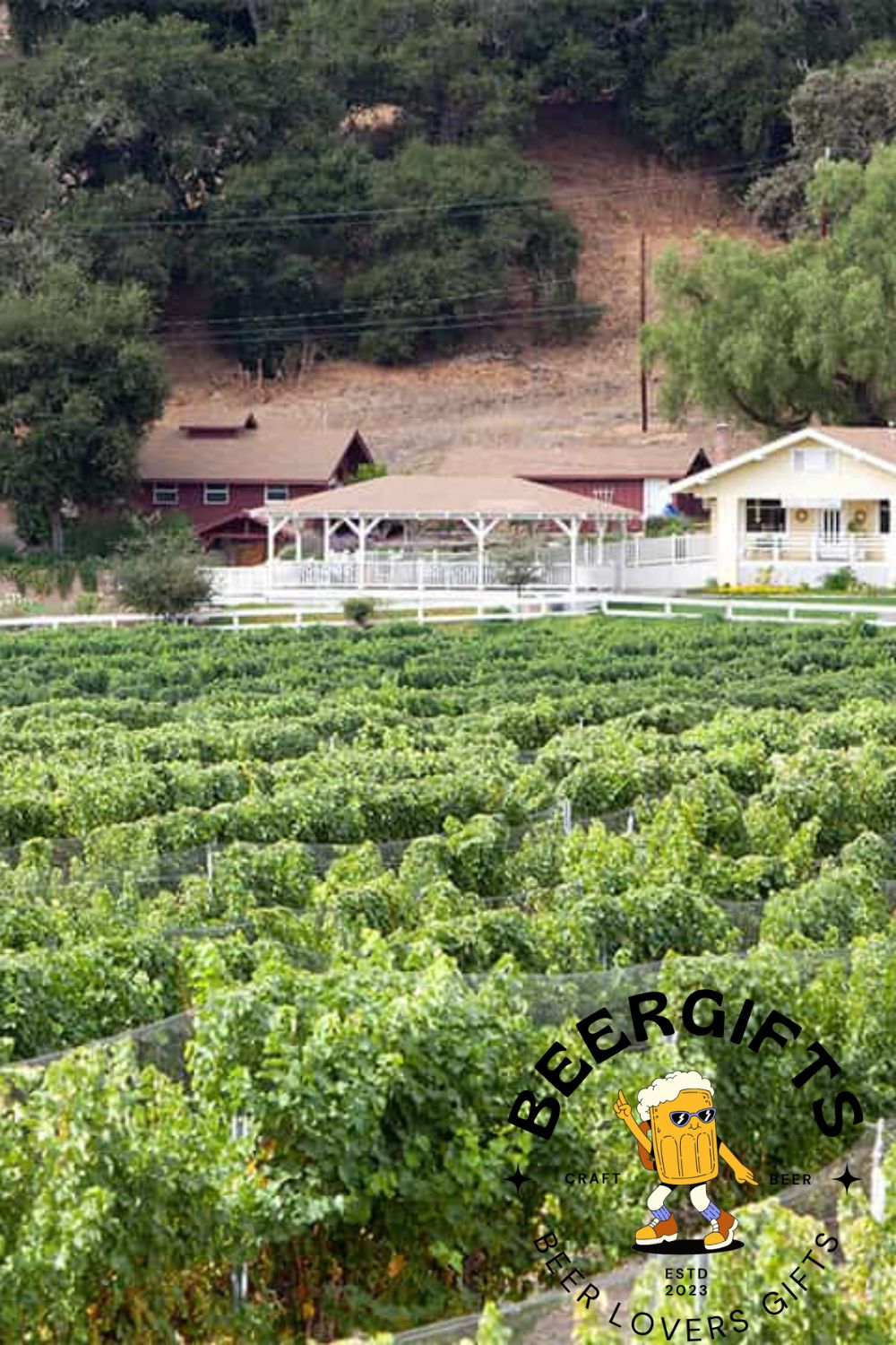 11 Best Wineries in Santa Ynez, CA6