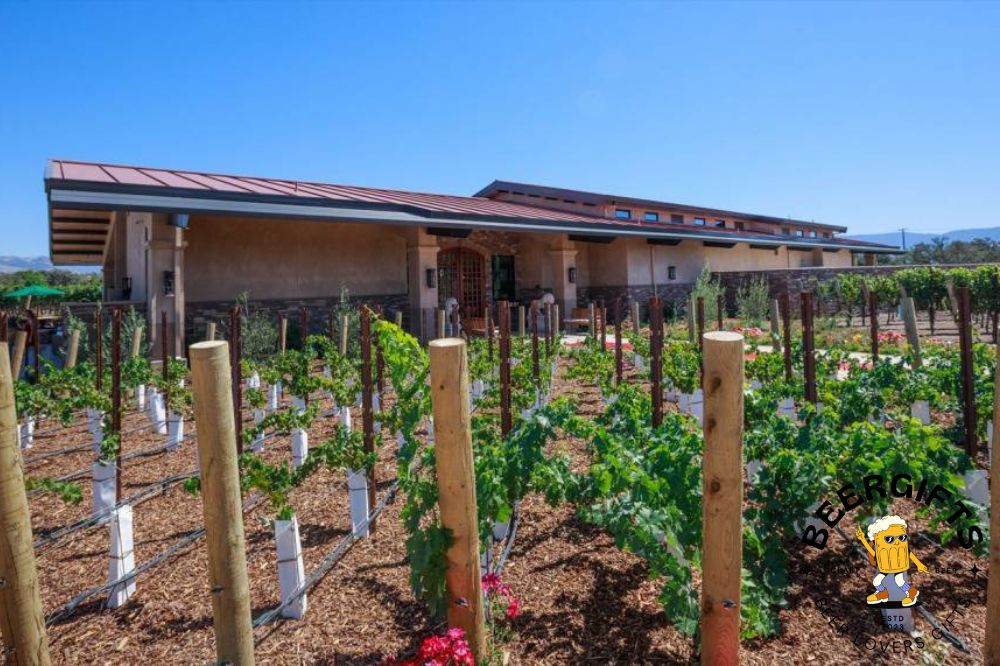 11 Best Wineries in Santa Ynez, CA9