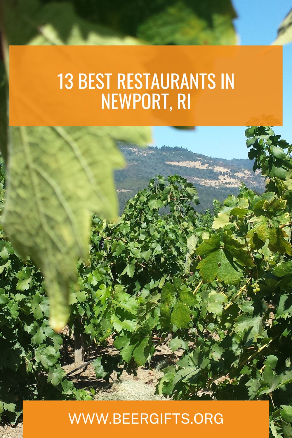 13 Best Restaurants in Newport, RI15