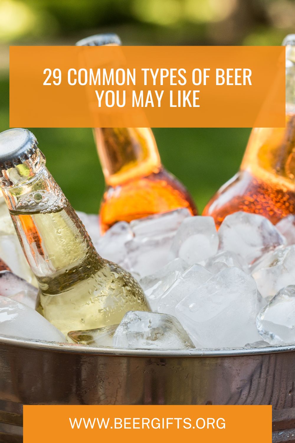 29 Common Types of Beer You May Like31